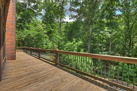 200 Forest View Lane Mineral Bluff GA 30559