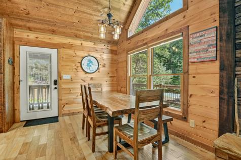 200 Forest View Lane Mineral Bluff GA 30559
