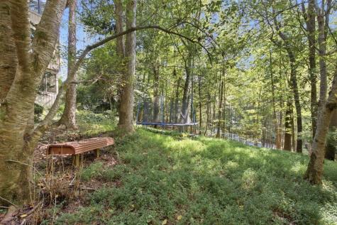 210 Cornett Drive Ellijay GA 30540