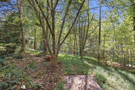 210 Cornett Drive Ellijay GA 30540