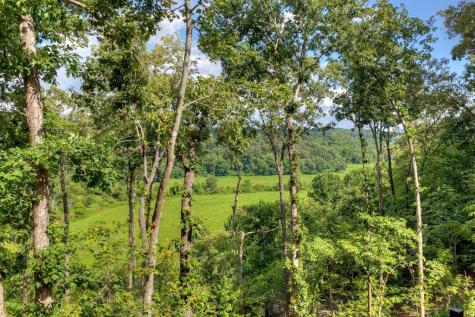 1729 Barnes Chapel Road Blue Ridge GA 30513