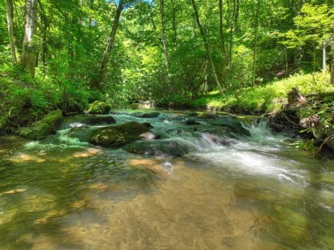 2628 Big Creek Road Cherry Log GA 30522