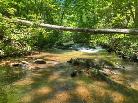 2628 Big Creek Road Cherry Log GA 30522