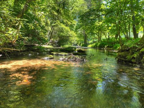 2628 Big Creek Road Cherry Log GA 30522