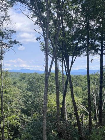 Lot 7 Austin Mountain Road Mineral Bluff GA 30559