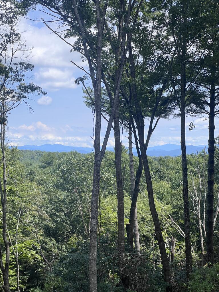Lot 7 Austin Mountain Road Mineral Bluff GA 30559