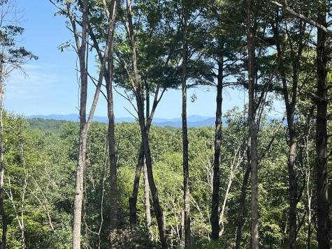 Lot 7 Austin Mountain Road Mineral Bluff GA 30559