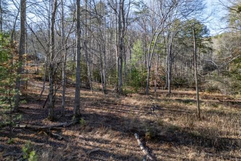 40 Huntington Ridge Road Blairsville GA 30512