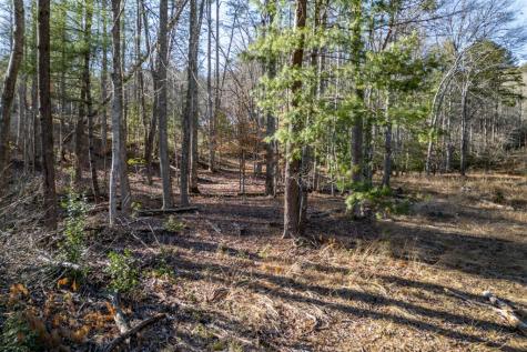40 Huntington Ridge Road Blairsville GA 30512