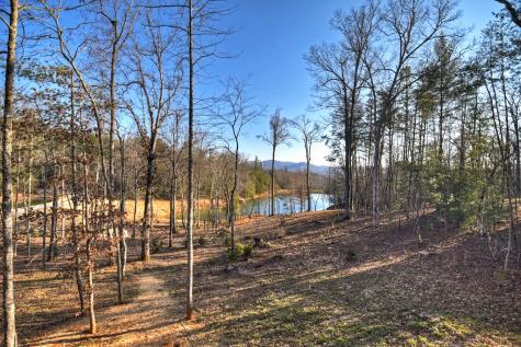 17 Dial Mountain Drive Blue Ridge GA 30513