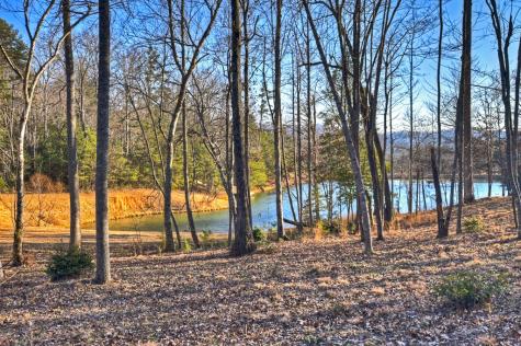 17 Dial Mountain Drive Blue Ridge GA 30513
