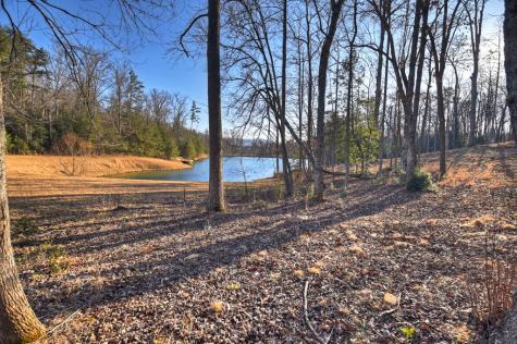 17 Dial Mountain Drive Blue Ridge GA 30513