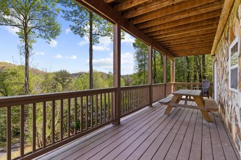 152 Cowboy Way Mineral Bluff GA 30559