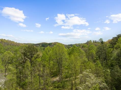 152 Cowboy Way Mineral Bluff GA 30559