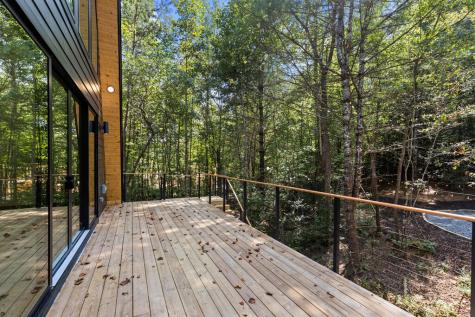 101 Pine Lane Mineral Bluff GA 30559