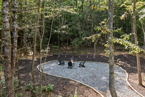 101 Pine Lane Mineral Bluff GA 30559