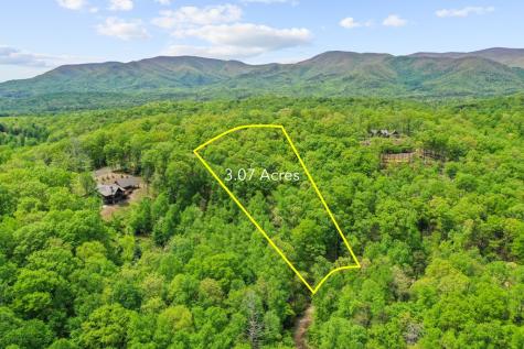 Lt 19 Forest Ridge Drive Blue Ridge GA 30540