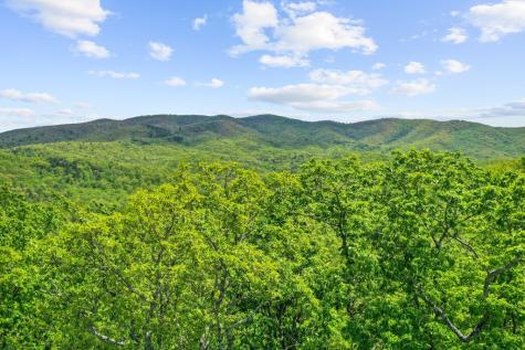 Lt 19 Forest Ridge Drive Blue Ridge GA 30540