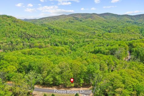 Lt 19 Forest Ridge Drive Blue Ridge GA 30540