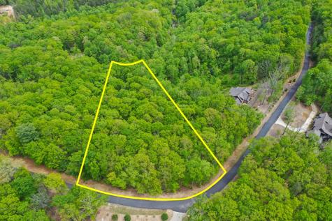 Lt 19 Forest Ridge Drive Blue Ridge GA 30540