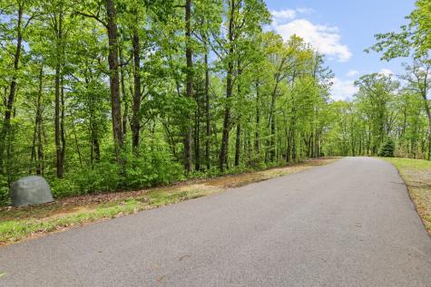 Lt 19 Forest Ridge Drive Blue Ridge GA 30540