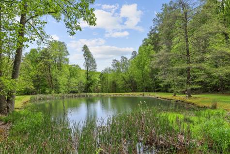 Lt 19 Forest Ridge Drive Blue Ridge GA 30540