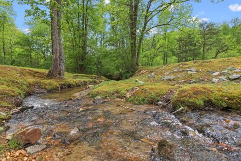 Lt 19 Forest Ridge Drive Blue Ridge GA 30540