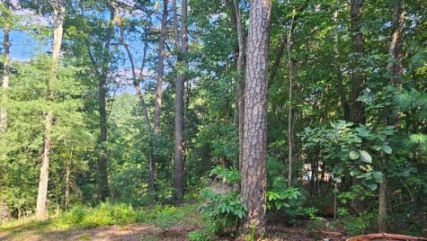 80 Jebs Court Ellijay GA 30540