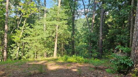 80 Jebs Court Ellijay GA 30540