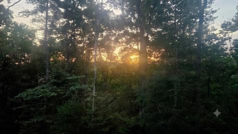 80 Jebs Court Ellijay GA 30540