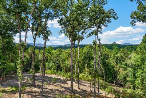 560 Horatio Drive Blue Ridge GA 30513