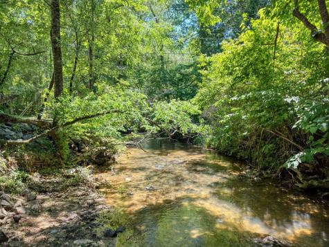 500 Williamstown Road S Mineral Bluff GA 30559