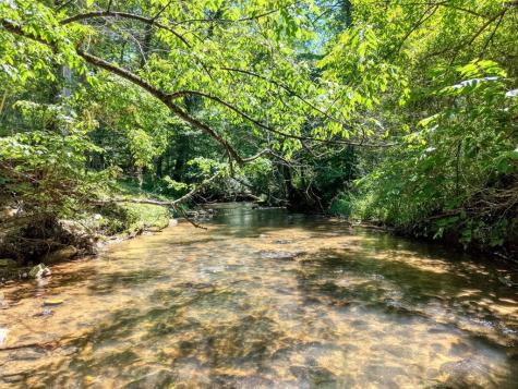 500 Williamstown Road S Mineral Bluff GA 30559