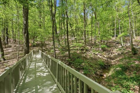 225 Windflower Drive Big Canoe GA 30143