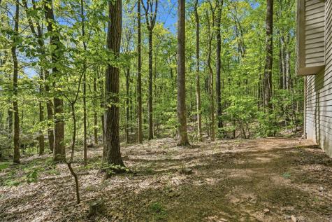 225 Windflower Drive Big Canoe GA 30143