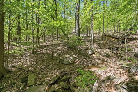 225 Windflower Drive Big Canoe GA 30143