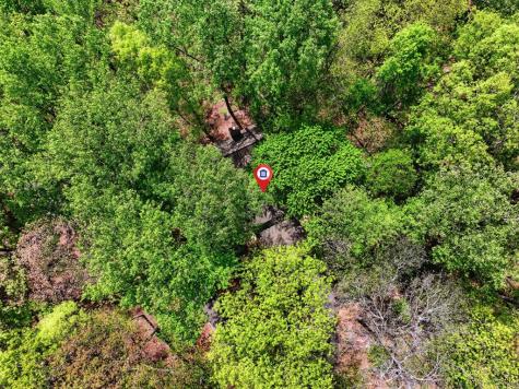 225 Windflower Drive Big Canoe GA 30143