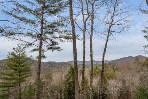 131 Toccoa Overlook Lane Blue Ridge GA 30513
