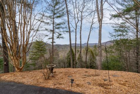 131 Toccoa Overlook Lane Blue Ridge GA 30513