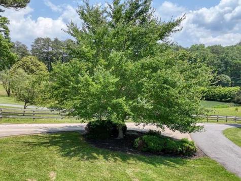 115 Dawsons Lane Murphy NC 28906