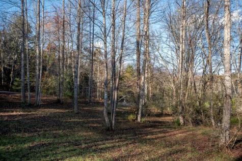 29 Hyatt Mill Lane Hayesville NC 28904