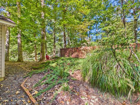 654 Ford Road Warne NC 28909