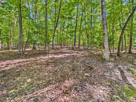 654 Ford Road Warne NC 28909