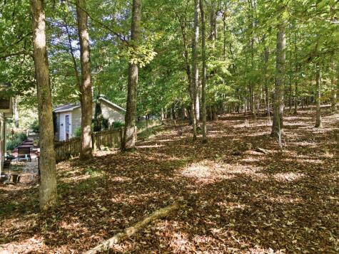 654 Ford Road Warne NC 28909