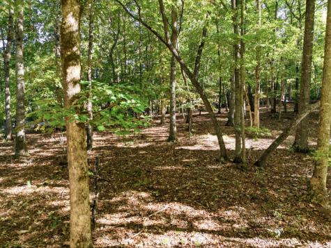 654 Ford Road Warne NC 28909