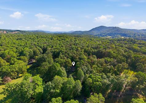654 Ford Road Warne NC 28909