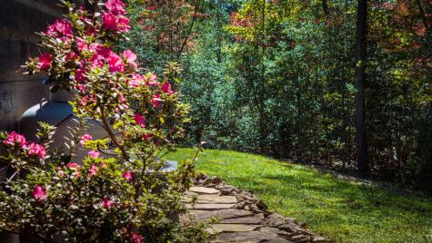 329 Autumn Ridge Drive Mineral Bluff GA 30559