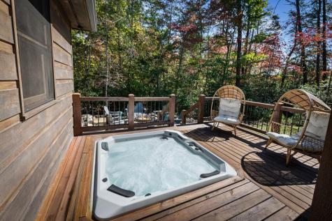 329 Autumn Ridge Drive Mineral Bluff GA 30559