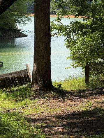 79 Star Creek Court Morganton GA 30560