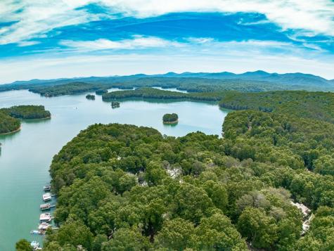 312 Campbell Camp Circle Blue Ridge GA 30513